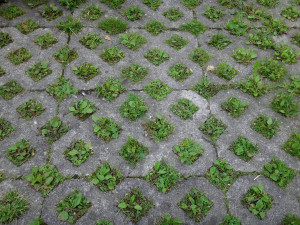 Sidewalk along a shopping street in Oberammergau