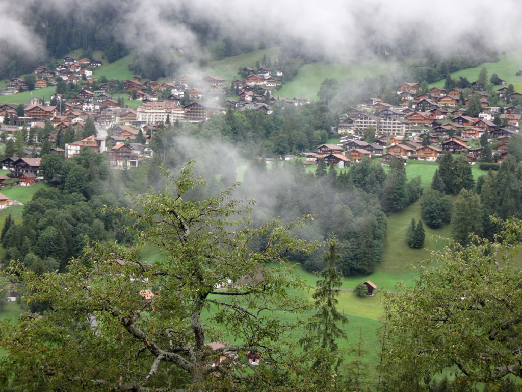 This was my view from Our Chalet