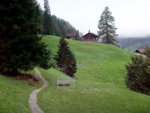 Hiking path leading to/from Our Chalet