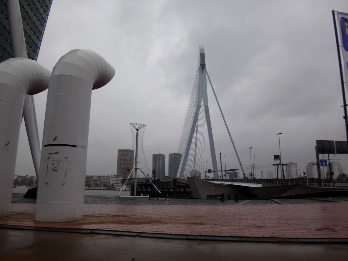 Rotterdam – Whimsy and wonder in the rain (go ahead, and say it out loud)