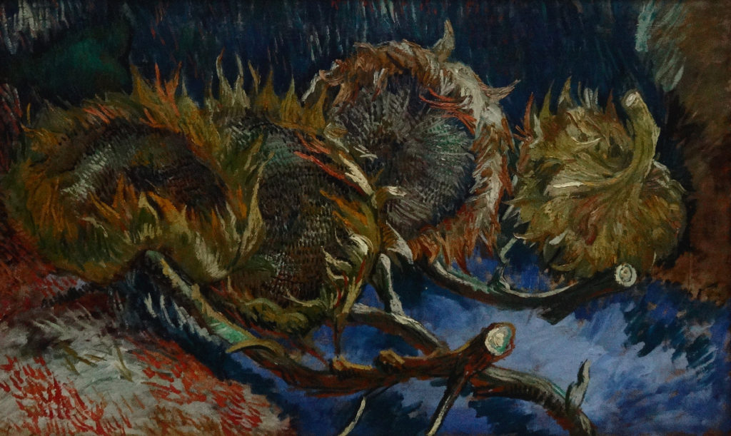 Kroller-Muller Van Gogh 4 Sunflowers Gone to Seed 1887 DSC00892