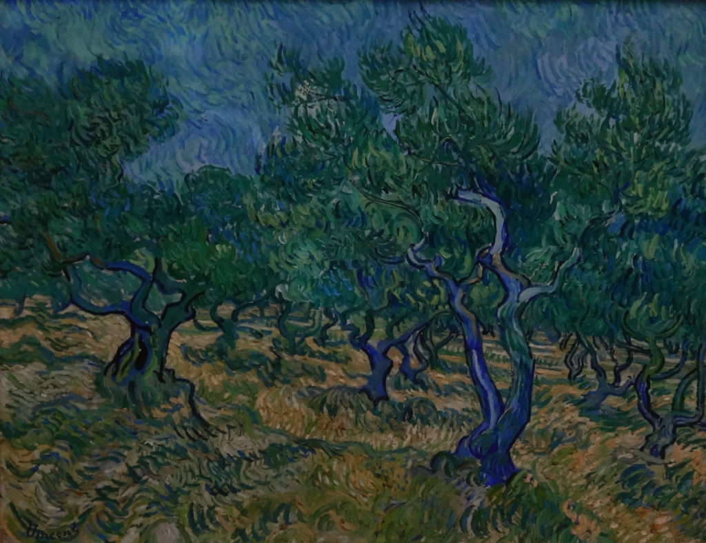 Kroller-Muller Van Gogh Olive Grove 1889 DSC00879